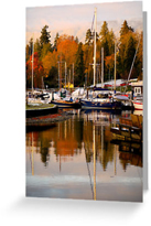 Autumn Harbour Greeting Cards