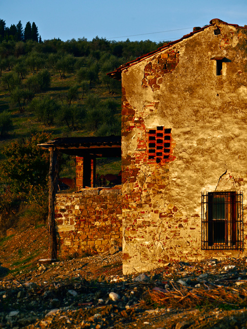 Tuscan farm house & olive grove