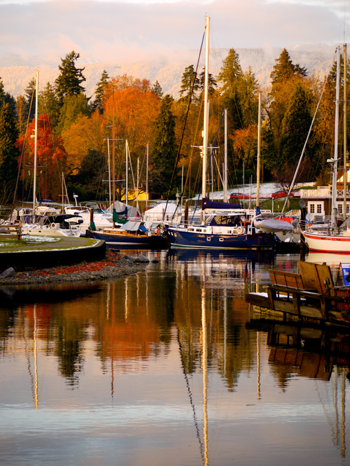 An autumn harbour scene in Vancouver, British Columbia
