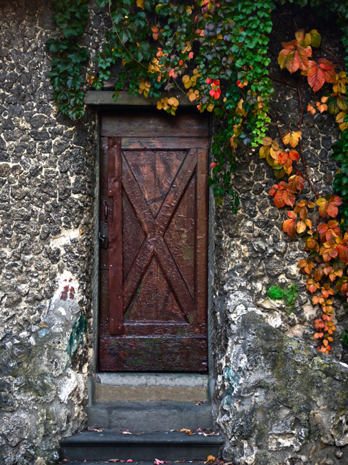 Autumn Ivy covering a wooden door and stone wall