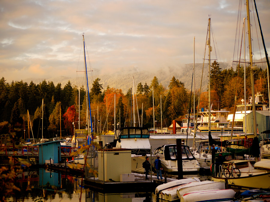 Autumn Stanley Park Harbour in Vancouver, British Columbia