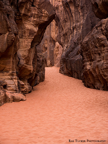 Walking through a canyon in the red desert of Jordan