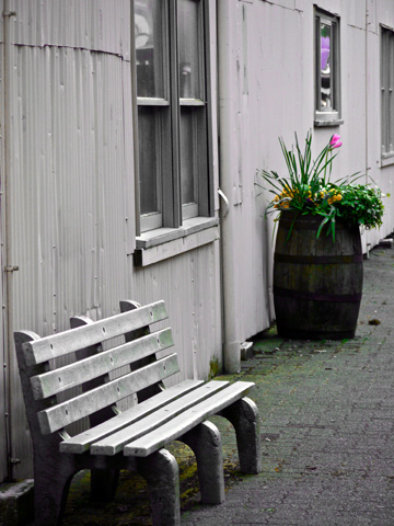 An alley on Granville Island with a park bench and a flower barrel