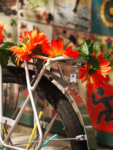 A bicycle found in Yaletown in Vancouver is decorated with gerber daisy flowers